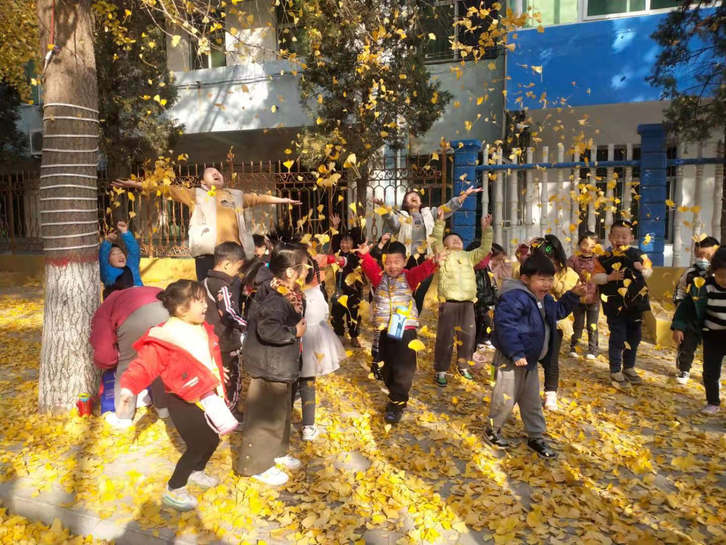 3802dfadd65681bacf77ed4967a6bc0