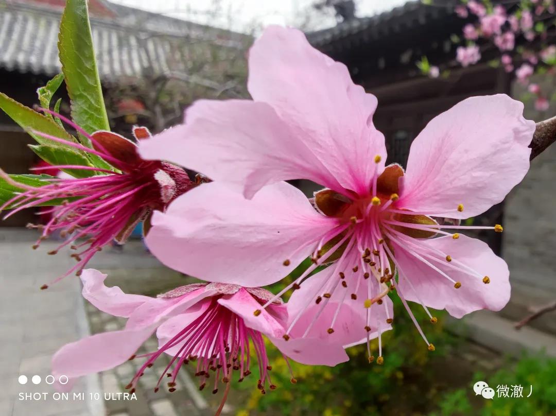 微信图片_20210406105902