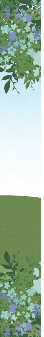 pagenumber_ebook=91,pagenumber_book=85