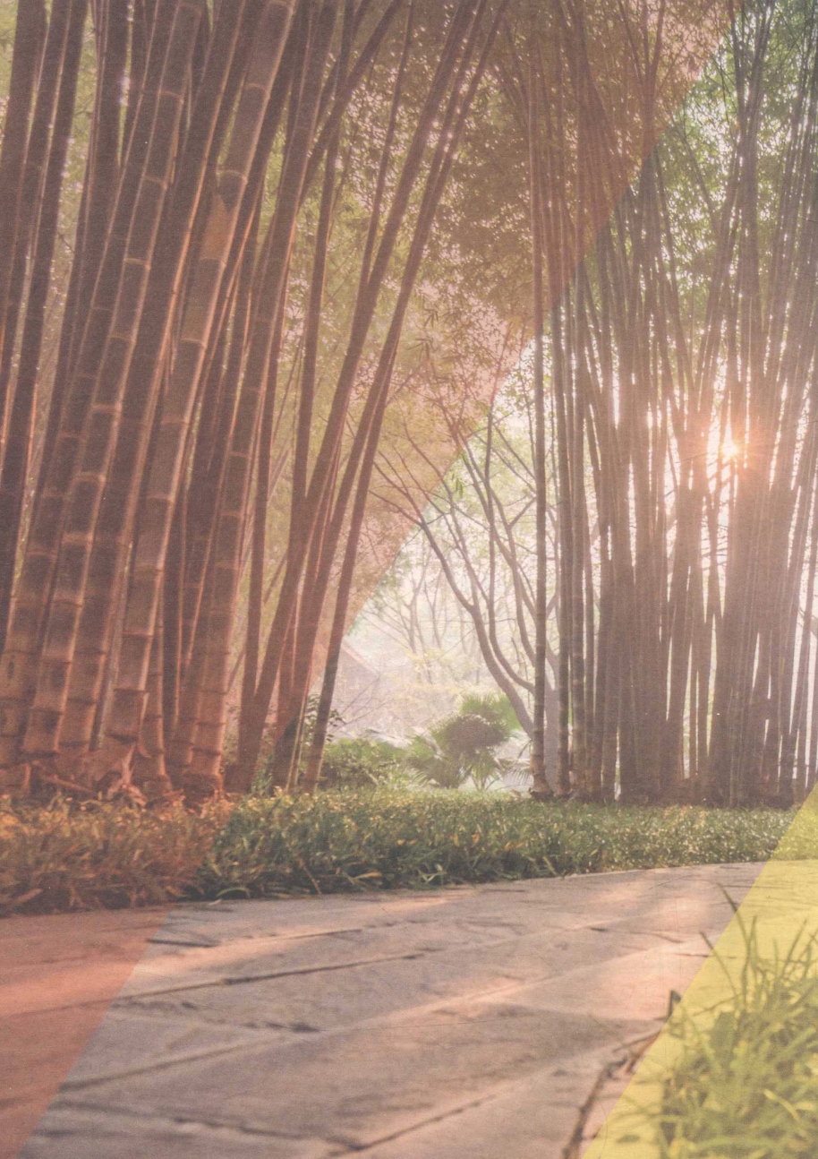 pagenumber_ebook=110,pagenumber_book=96