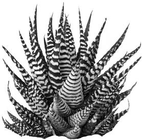 pagenumber_ebook=230,pagenumber_book=230