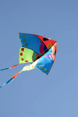 image image.png?v=1770191108221