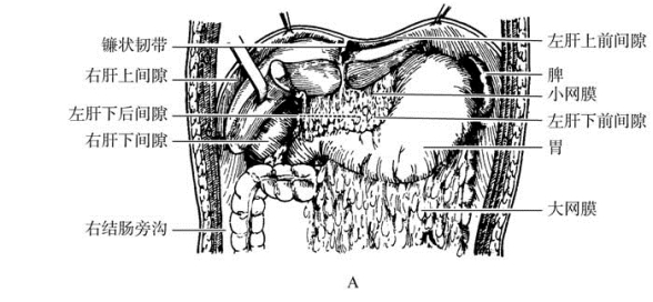 pagenumber_ebook=465,pagenumber_book=450