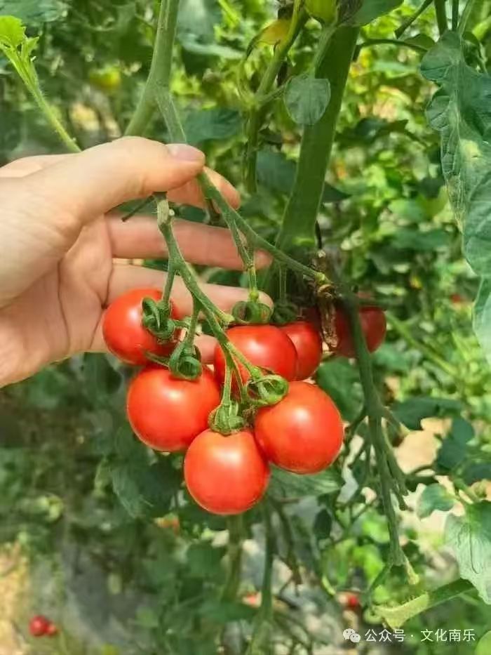 微信图片_20250206091121 微信图片_20250206091121.jpg