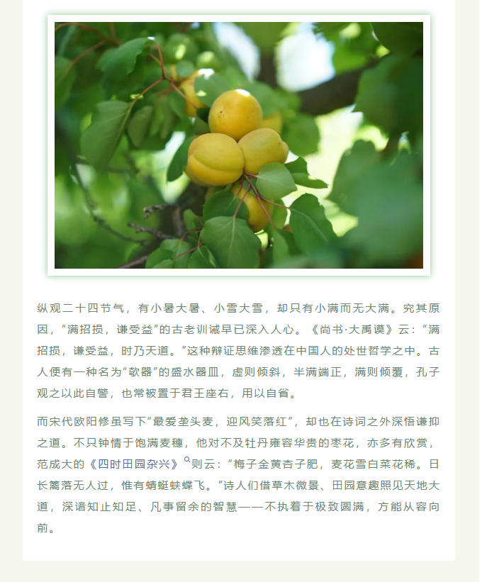image.png?v=1780832900752