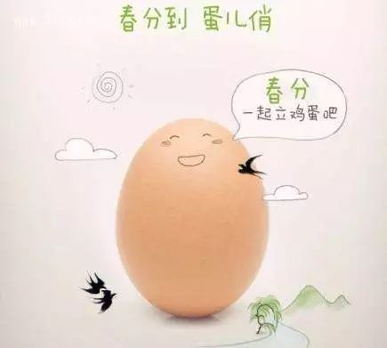 image005 image005.jpg?v=1764640555861