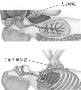 pagenumber_ebook=32,pagenumber_book=24