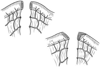 pagenumber_ebook=367,pagenumber_book=352