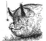 pagenumber_ebook=297,pagenumber_book=0