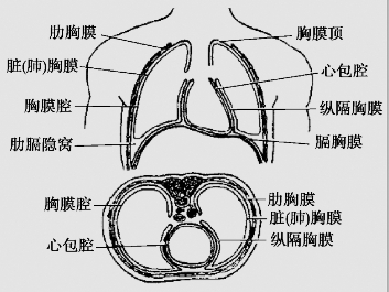 pagenumber_ebook=34,pagenumber_book=21