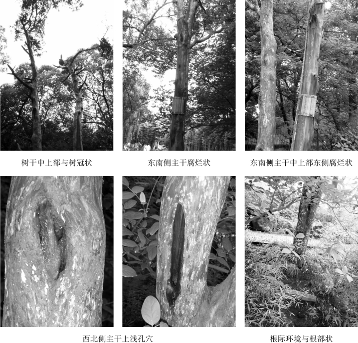 pagenumber_ebook=91,pagenumber_book=91