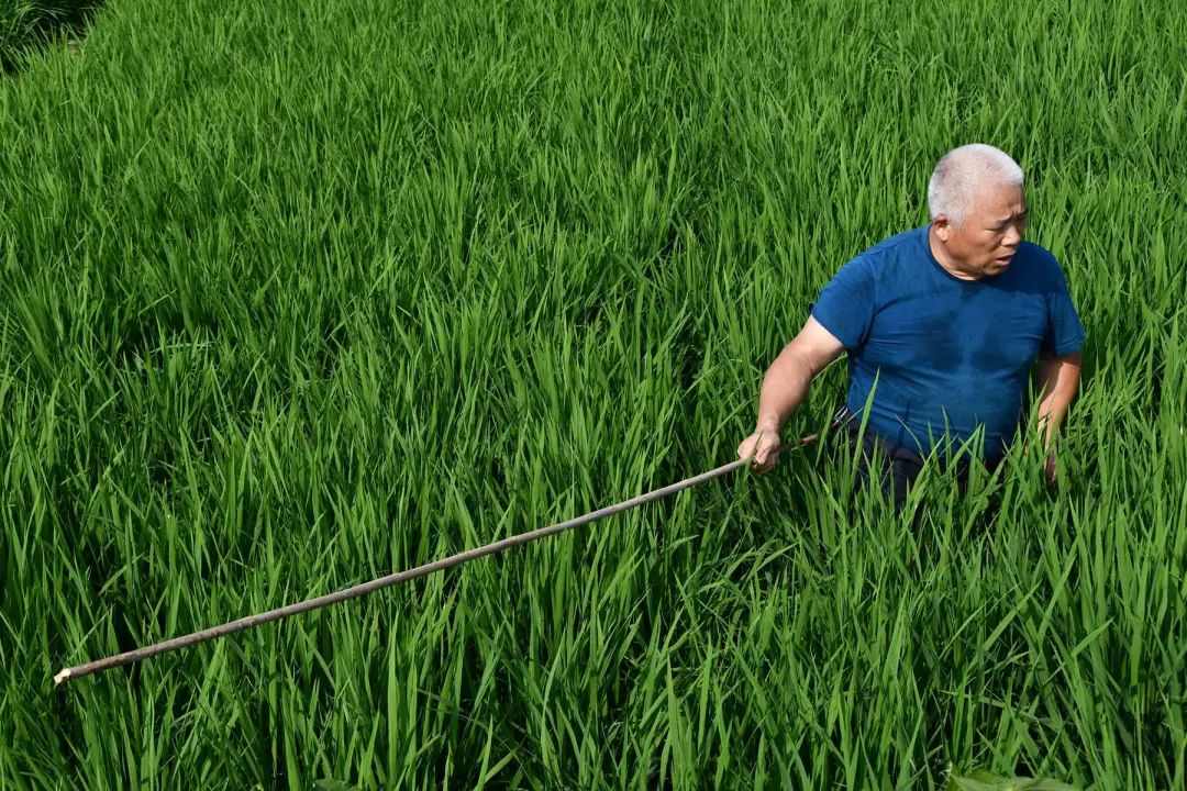 5 5.jpg?v=1765946306360