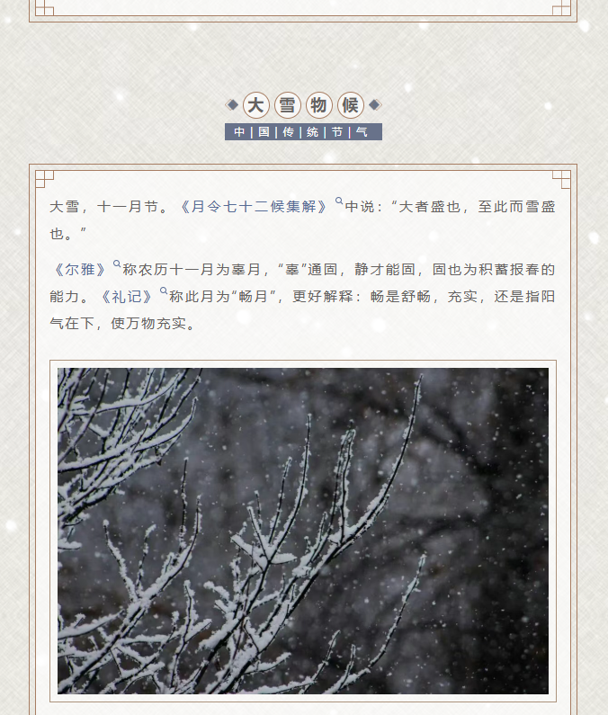 image.png?v=1766232895936