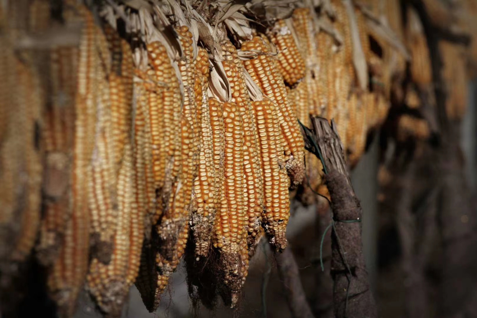 微信图片_20210202085722 微信图片_20210202085722.jpg