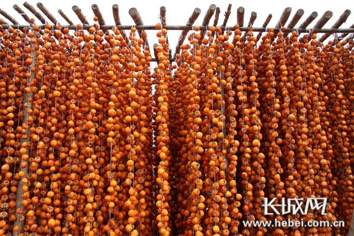 微信图片_20201213104340