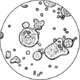 pagenumber_ebook=40,pagenumber_book=27