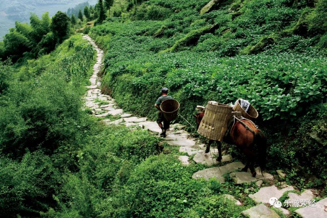 微信图片_20201211151003