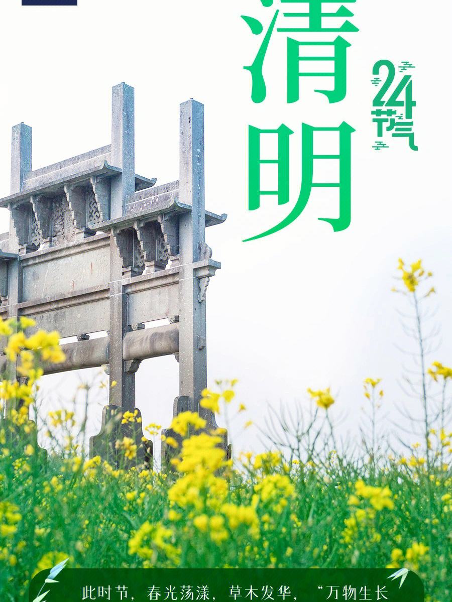 903531b3f95a4222bbda110ed716be48 903531b3f95a4222bbda110ed716be48.jpeg