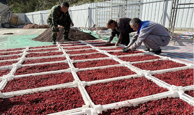 f98d215081ef0ef81a7e2119858fba3 f98d215081ef0ef81a7e2119858fba3.png