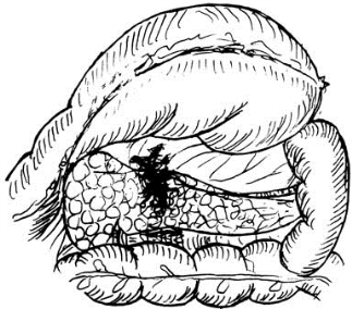 pagenumber_ebook=561,pagenumber_book=546