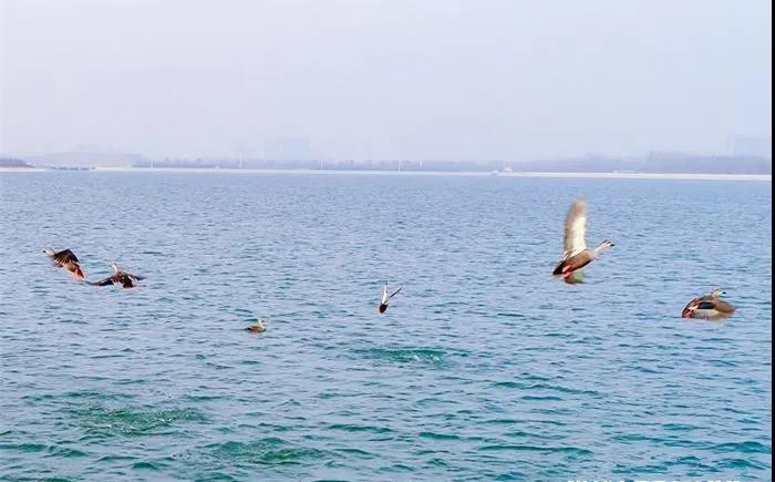 微信图片_20210318100117 微信图片_20210318100117.jpg