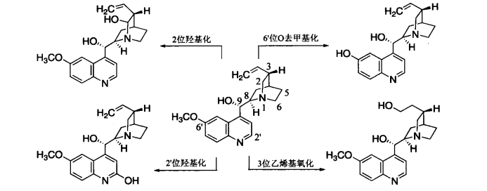 pagenumber_ebook=214,pagenumber_book=196