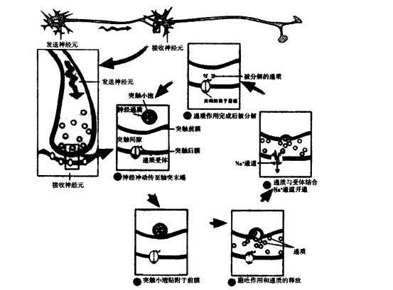 pagenumber_ebook=135,pagenumber_book=117
