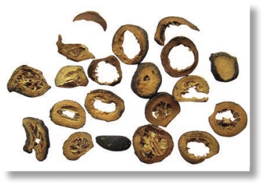 pagenumber_ebook=137,pagenumber_book=124