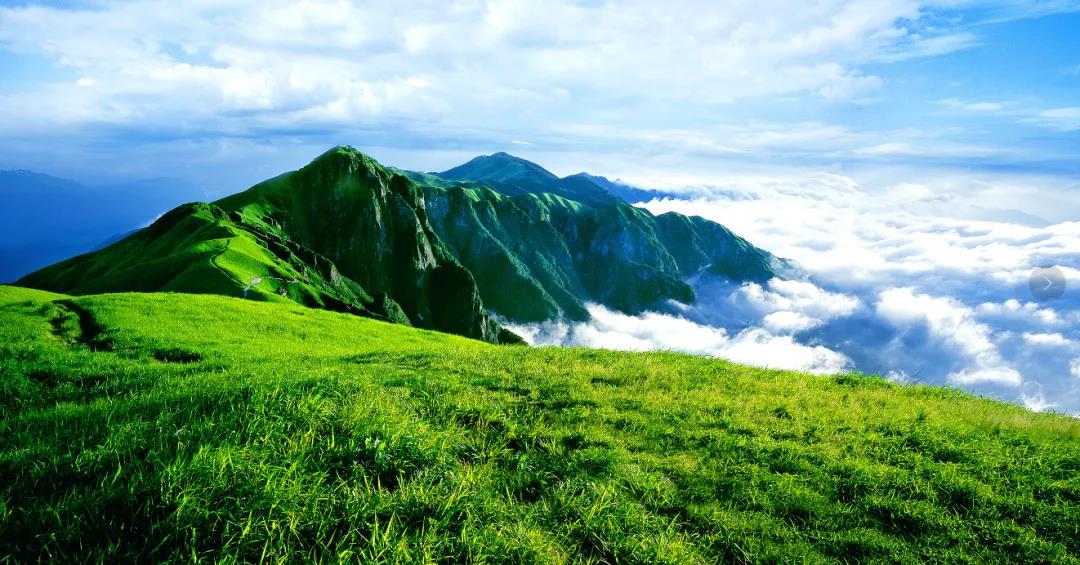 微信图片_20201008213824