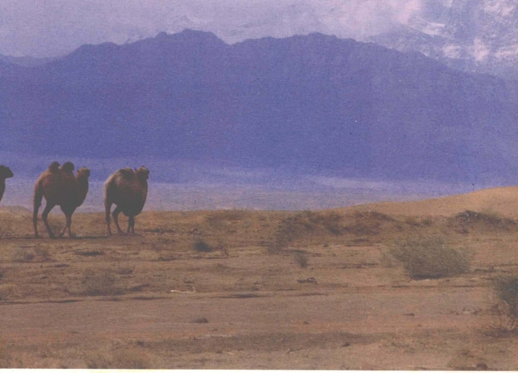 pagenumber_ebook=203,pagenumber_book=195