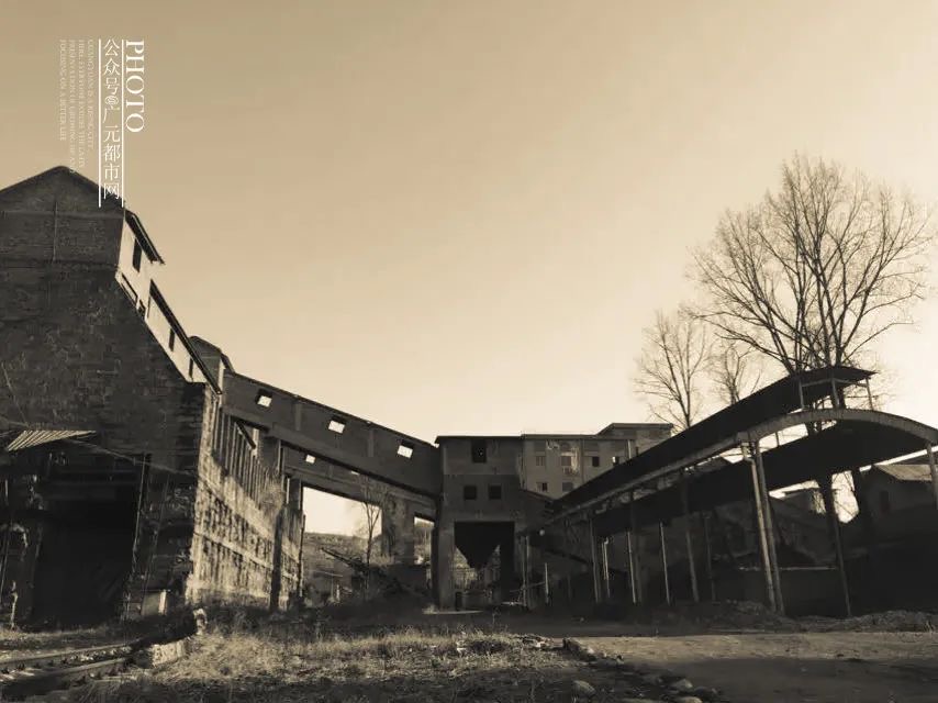 IMG_1442(20200417-111252) IMG_1442(20200417-111252).jpg?v=1765781105416