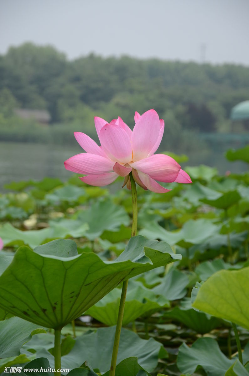 image01