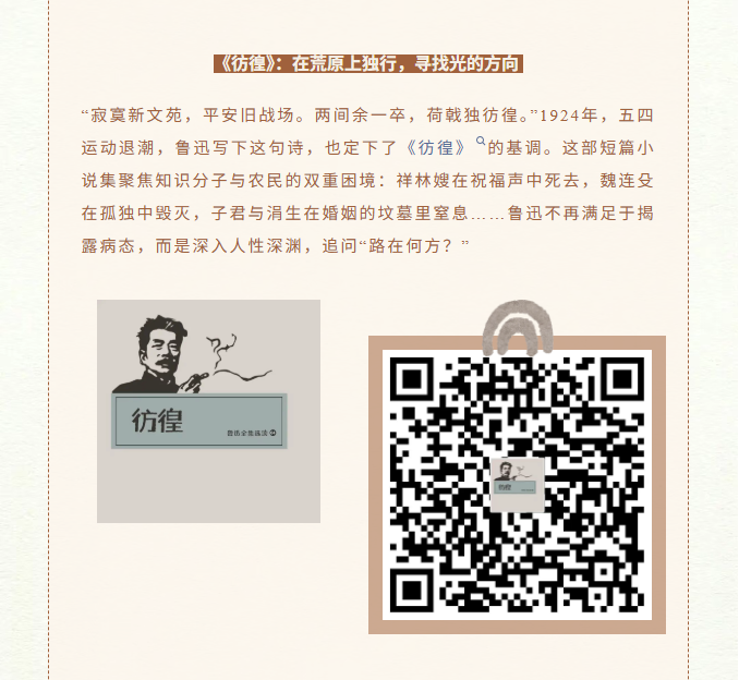 image.png?v=1762125931830