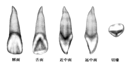 pagenumber_ebook=25,pagenumber_book=16