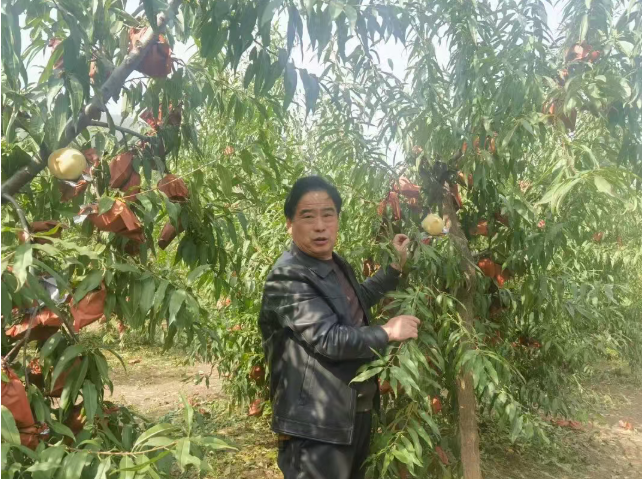 3873af16e9e518ba5727ab5cc9a0594a 3873af16e9e518ba5727ab5cc9a0594a.png