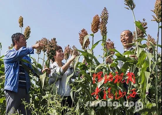 41《扶贫攻坚结硕果》李刘晋