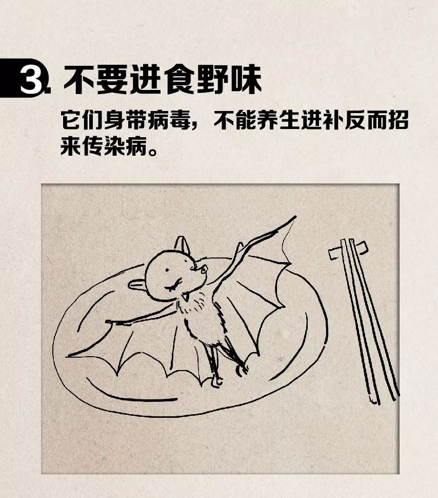 4 4.jpg?v=1765771834089