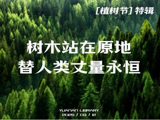 image.png?v=1757808528022