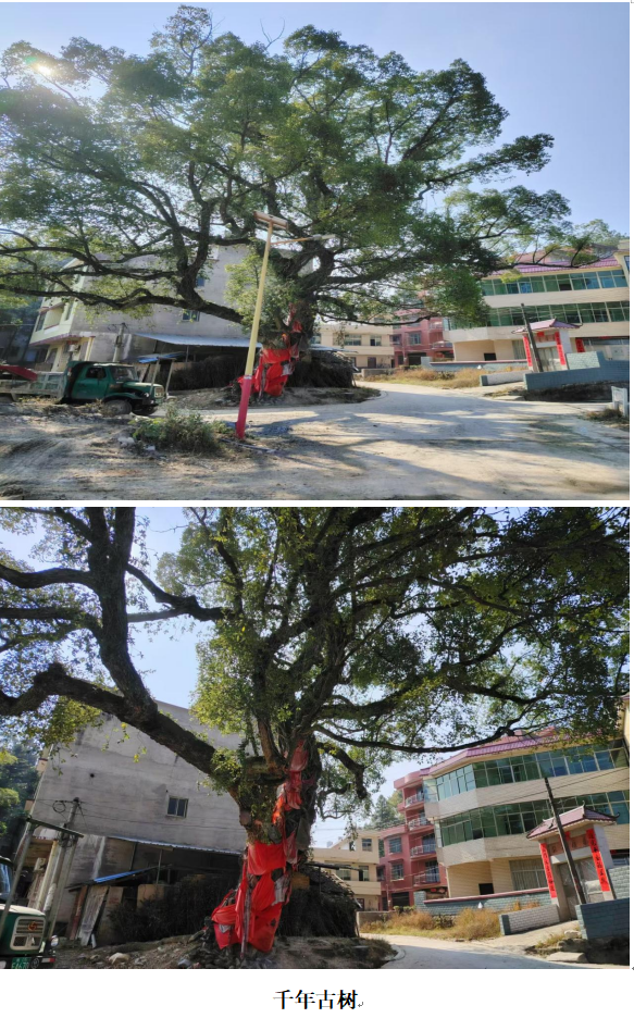 1732341776601 1732341776601.png