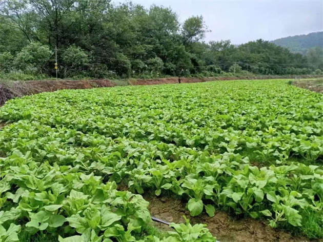 a097560d7b15e0e7c23597821fd2fca a097560d7b15e0e7c23597821fd2fca.jpg