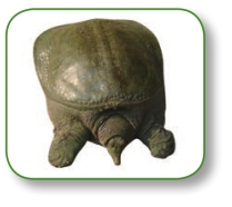 pagenumber_ebook=291,pagenumber_book=278