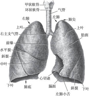 pagenumber_ebook=30,pagenumber_book=22