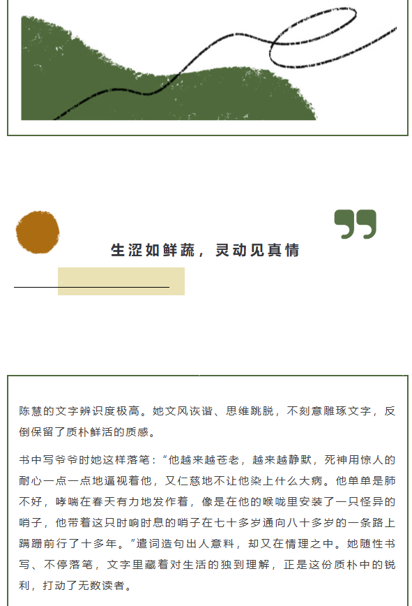image.png?v=1779335423195