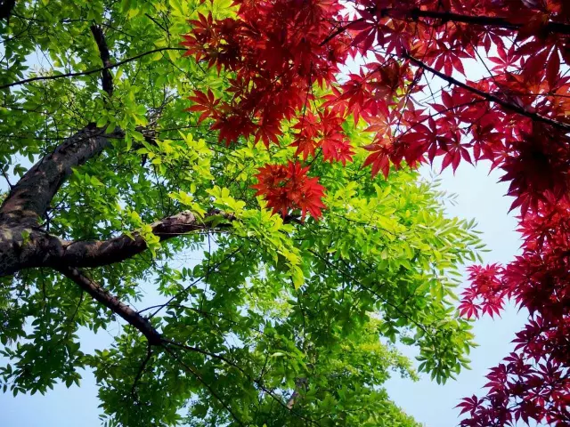 20170601113621_ad30skoa2n 20170601113621_ad30skoa2n.png?v=1773792331837