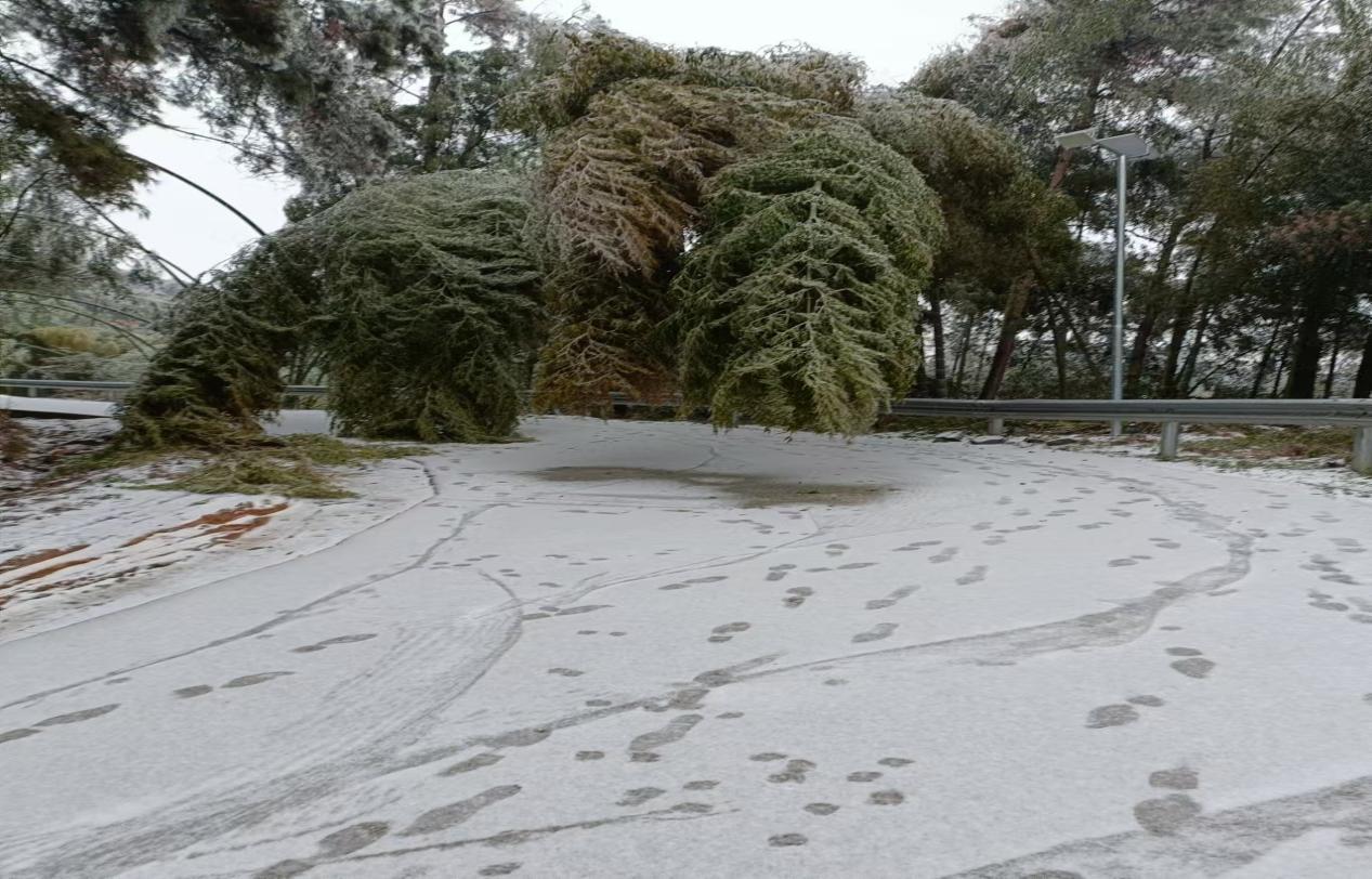 wps_doc_9 wps_doc_9.jpeg