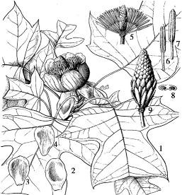 pagenumber_ebook=98,pagenumber_book=98