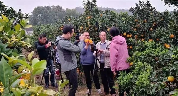 1606359940138911.jpg 图片