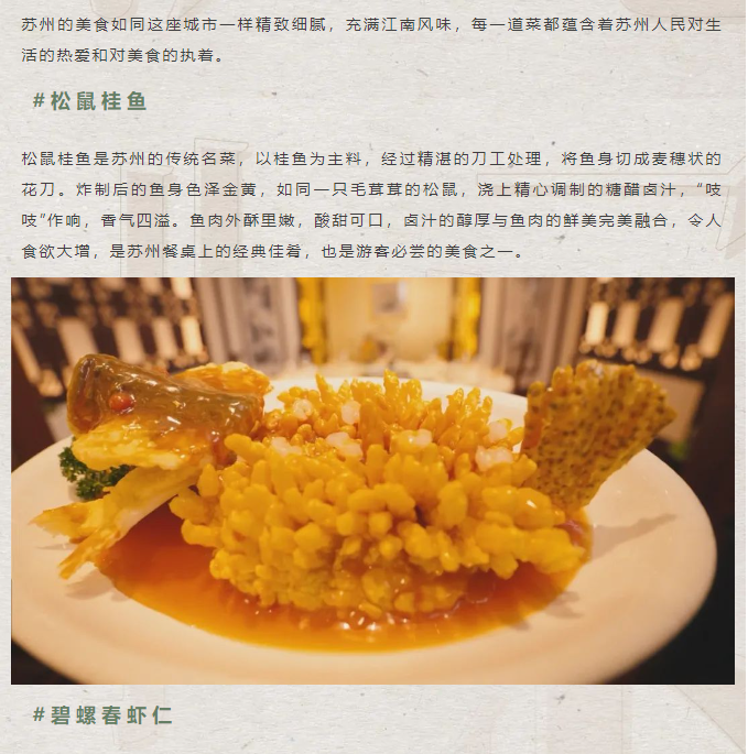 image.png?v=1751562034058