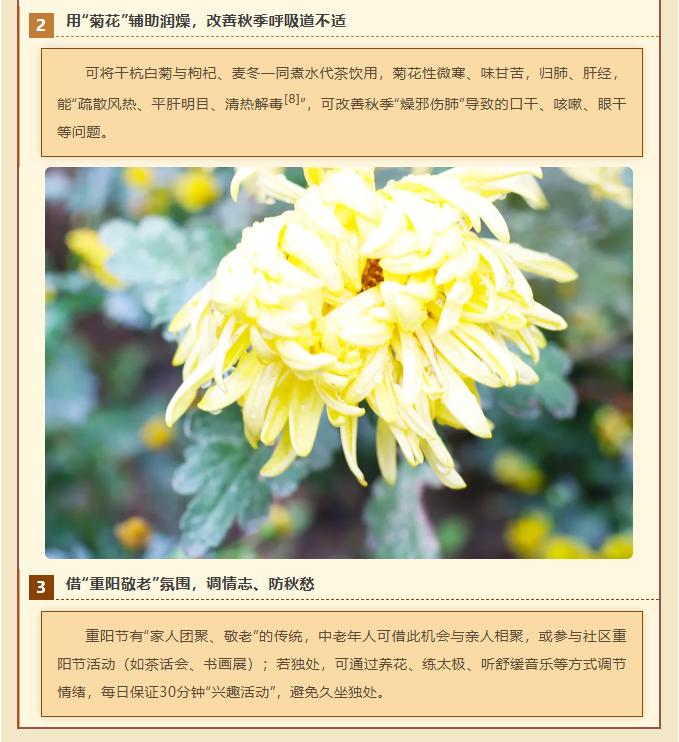 image.png?v=1762073882171