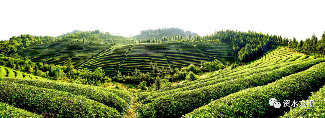 11 11.png?v=1765880647888